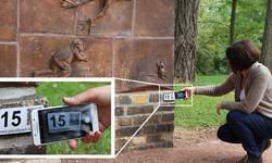 Bild Park QR Code Web