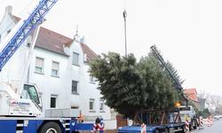 2018 Weihnachtsbaum am Haken