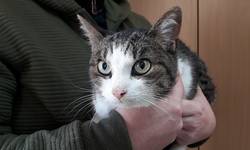 Braunsdorf Fundanzeige01