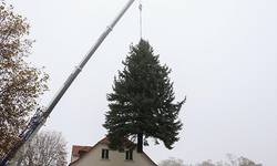 2019 11 21 Fällung am Haken WEB