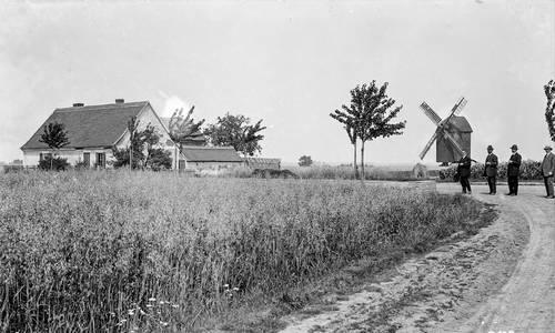 lasa, mer, i 525, fs nr g 0100 karl barth besichtigt im sommer 1916 das grundstück des windmüllers zu rössen © LASA, MER, I 525, FS Nr G 0100