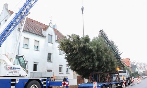 2018 Weihnachtsbaum am Haken