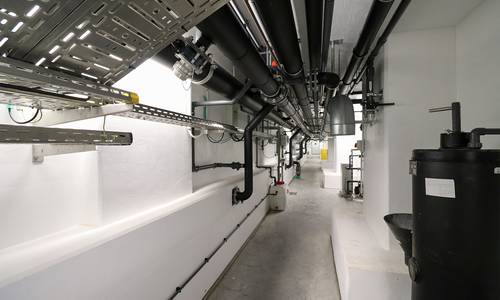 2019 05 11 Führung 02