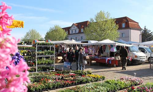 2018 04 28 Grüner 01 WEB 2018 04 28 Grüner 01 WEB