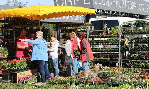 2018 04 28 Grüner 02 WEB 2018 04 28 Grüner 02 WEB