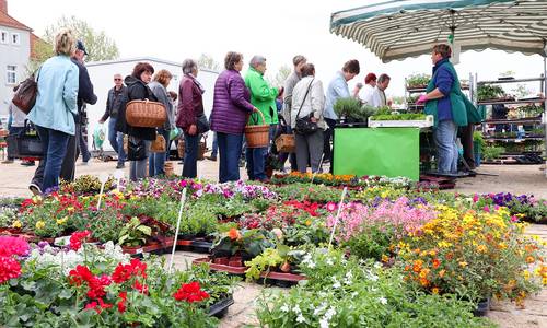 2019 04 27 Grüner Markt Schlangestehen