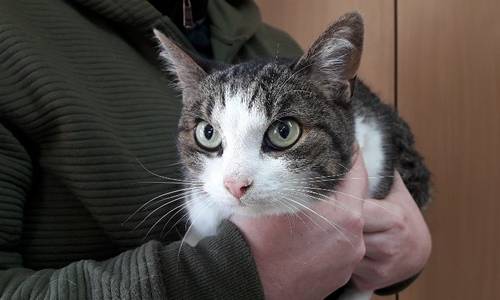 Braunsdorf Fundanzeige01