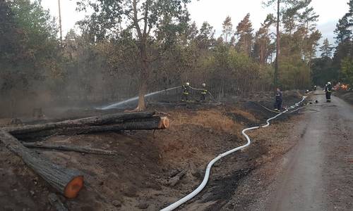 Leunaer Feuerwehr hilft in Serno