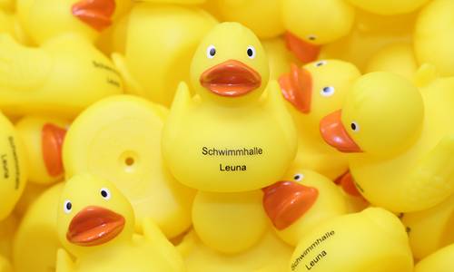 2017 12 15 Schwimmhalle Enten