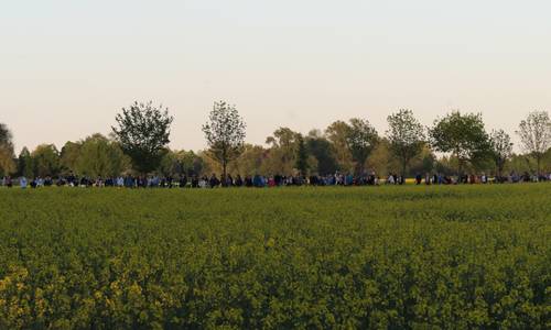 Umzug Feld Umzug Feld