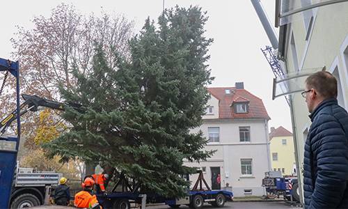 2019 11 21 Fällung aufladen Web © Heike Hickmann 2019 11 21 Fällung aufladen Web © Heike Hickmann