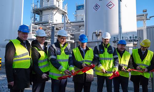 Linde web Ute Albersmann Fotografie © Ute Albersmann Fotografie Linde web Ute Albersmann Fotografie © Ute Albersmann Fotografie