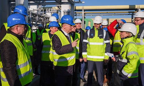 Linde web 2 Ute Albersmann Fotografie © Ute Albersmann Fotografie Linde web 2 Ute Albersmann Fotografie © Ute Albersmann Fotografie