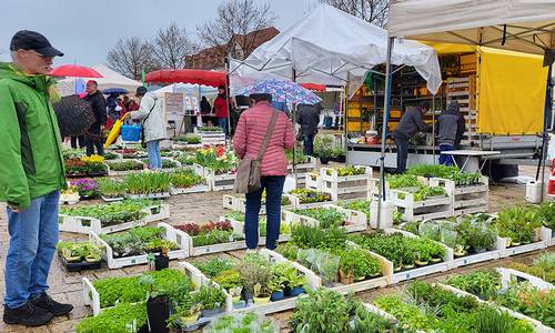 2023 Grüner Markt Gärtnerei WEB © Heike Hickmann 2023 Grüner Markt Gärtnerei WEB © Heike Hickmann