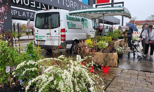 2023 Grüner Markt Baumschule WEB © Heike Hickmann 2023 Grüner Markt Baumschule WEB © Heike Hickmann