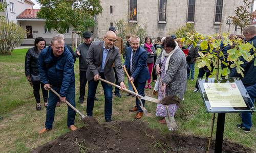 Baumpflanzung 01 web © Egbert Schmidt