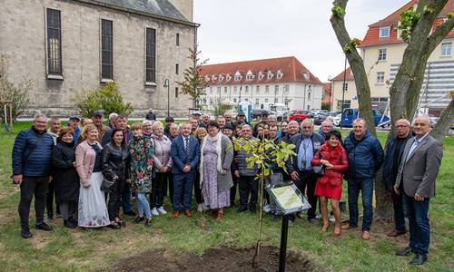 Baumpflanzung 02 web © Egbert Schmidt