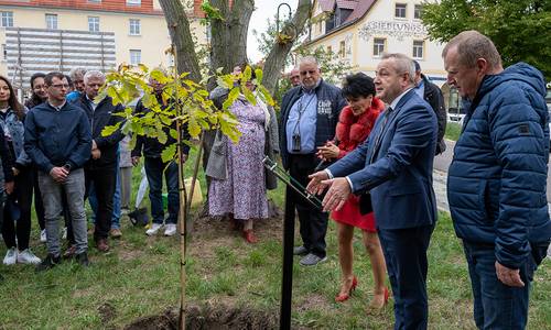 Baumpflanzung 03 web © Egbert Schmidt