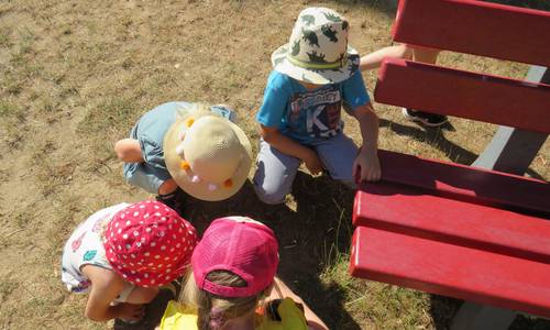 IMG 0153 © Mätzschker IMG 0153 © Mätzschker