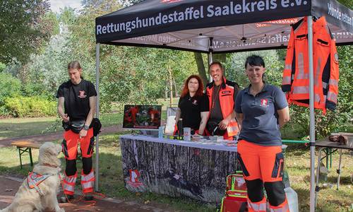 WEB Parkfest 2025 Hunde Gruppenfoto © Heike Hickmann WEB Parkfest 2025 Hunde Gruppenfoto © Heike Hickmann