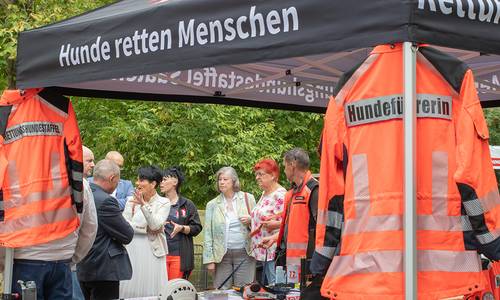 WEB Parkfest 2025 Hunde © Heike Hickmann WEB Parkfest 2025 Hunde © Heike Hickmann