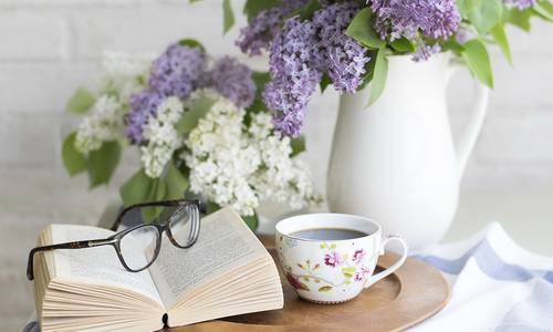 bibliothek lesestammtisch pixabay sofia livarinen web