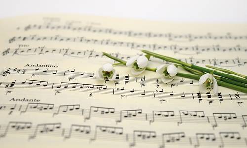 noten pixabay frauke riether web