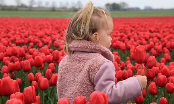 Symbolfoto Frühling mit Kind © Pixabay flowers 6972916 1280 fr hling mit kind